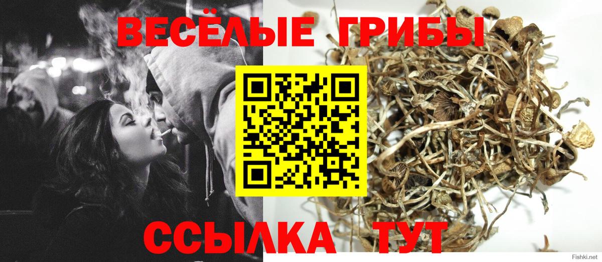 Рубцовск  Псилоцибиновые грибы MAGIC MUSHROOMS  сколько стоит  Вход с VPN 